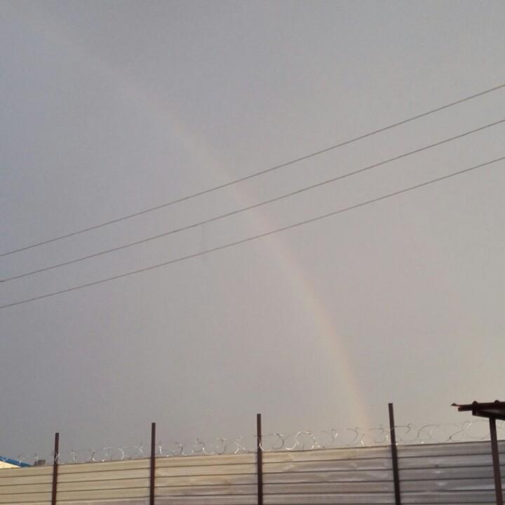 唯依@晴天-泉辛