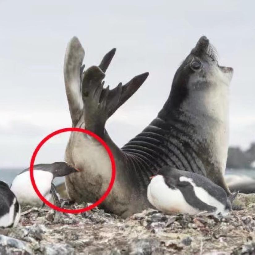 半杯咖啡不拉风