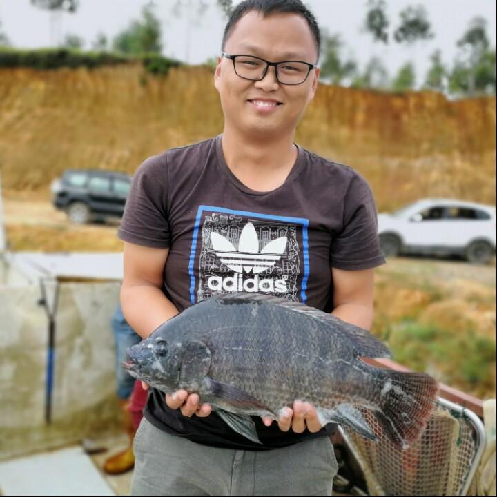 尤利切尔物文浦西