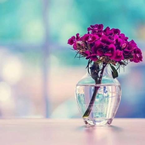 灵璧南京车 二杨