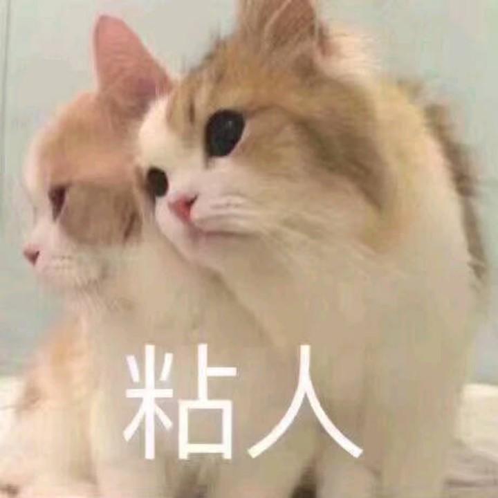 老子给你一棒👿嘤嘤嘤