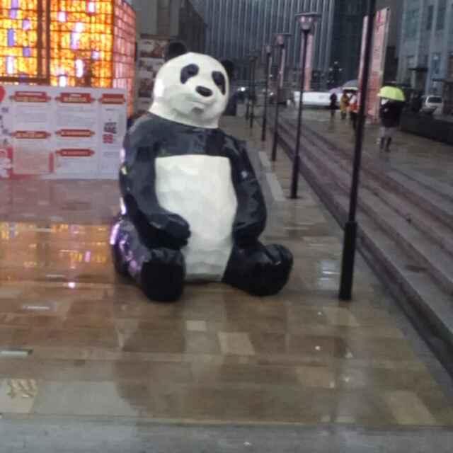 初升的太阳东哥