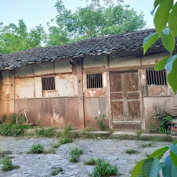爱你一生