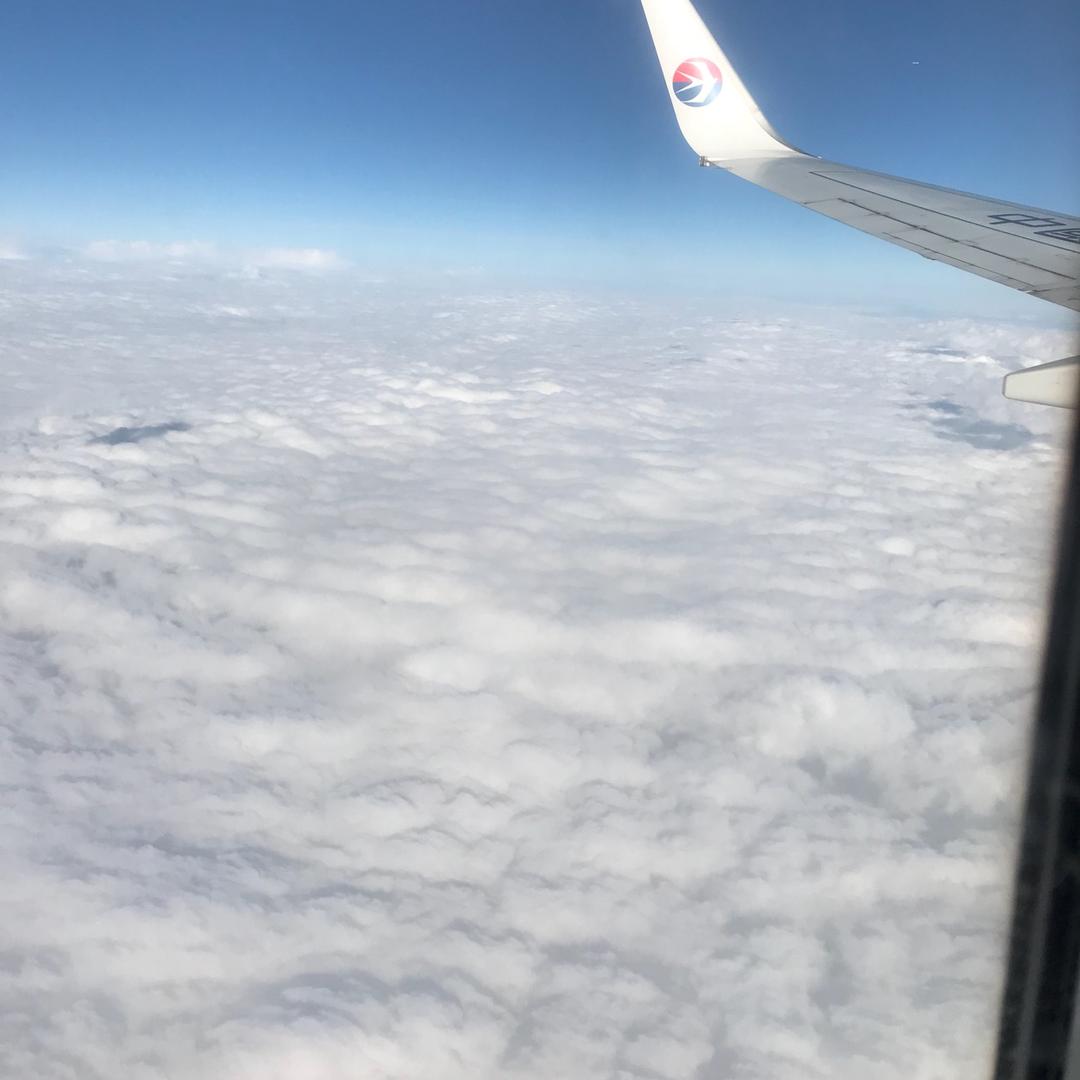 子語520
