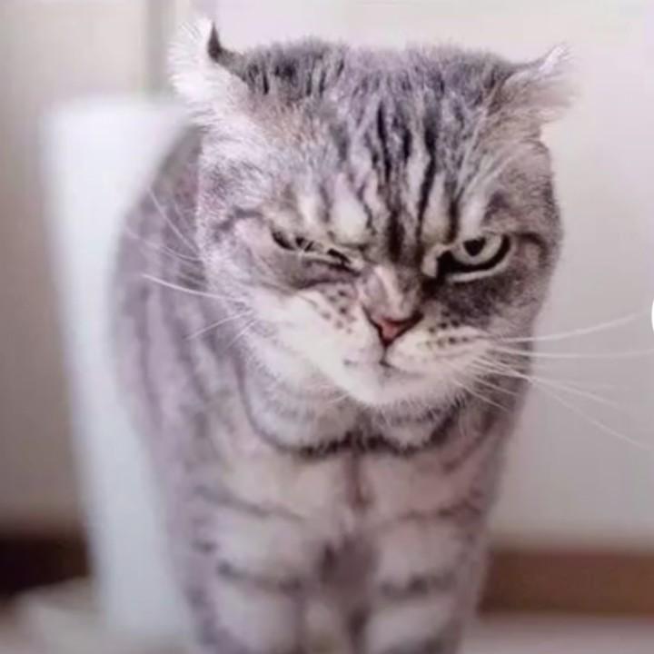 感动自己