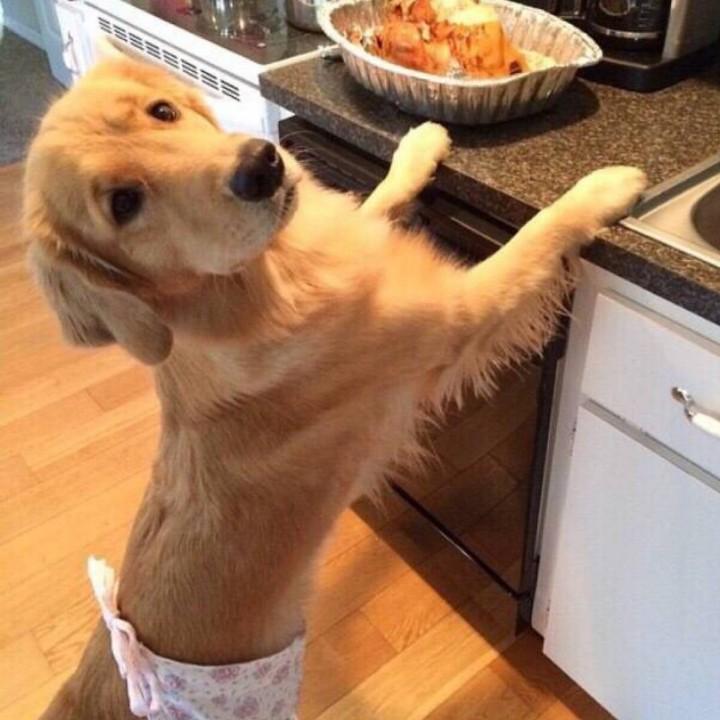 翠花的故事@抖音