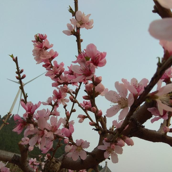 华丽转身用户1857588038390