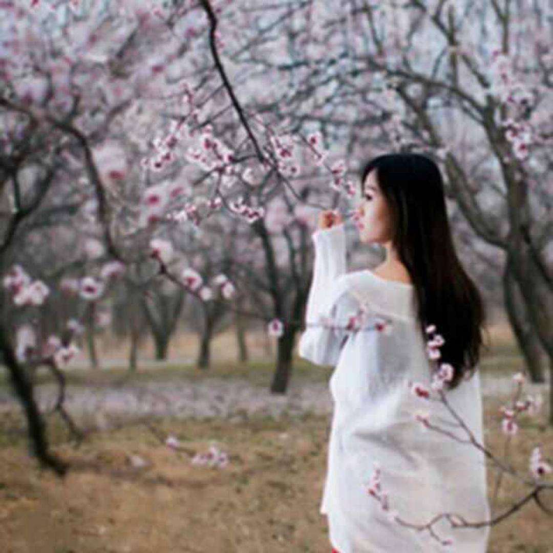 ☾ღ᭄简单幸福࿐