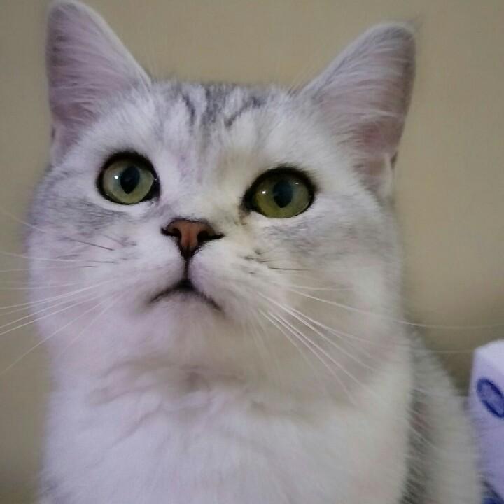 ♛♛空谷幽兰♛♛