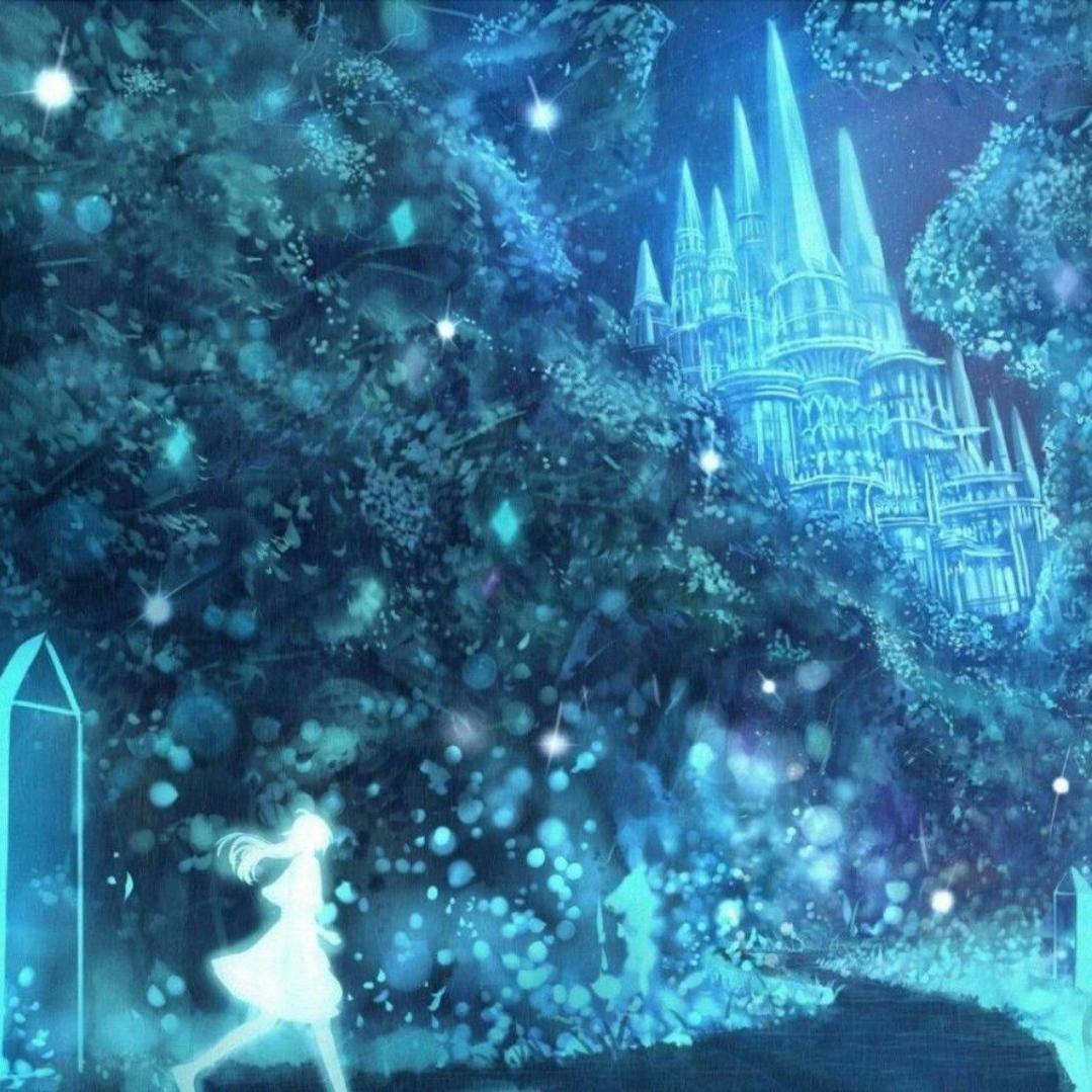 泡泡的凝视