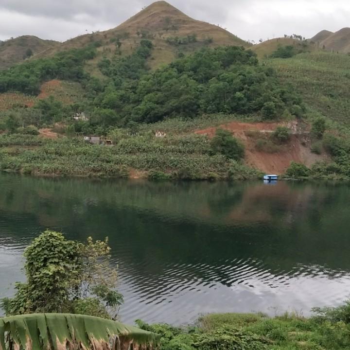 小泥鳅008