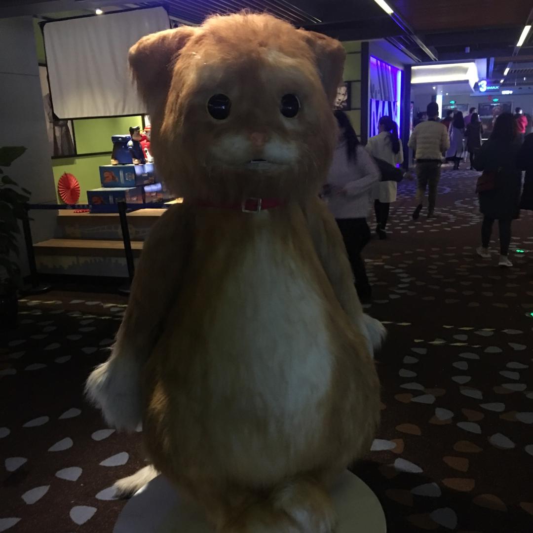 法海爱小青