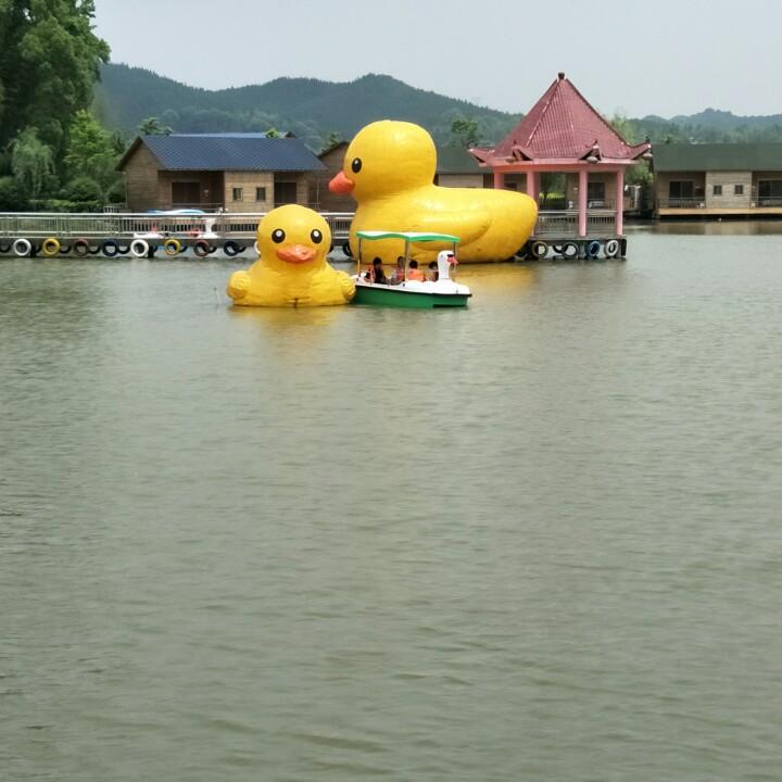 小芳