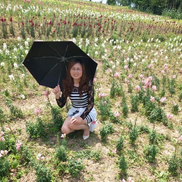 鱼儿