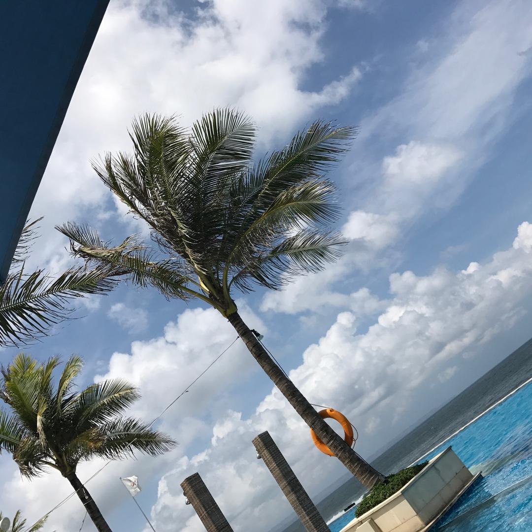 嘉善梦之想辅料厂