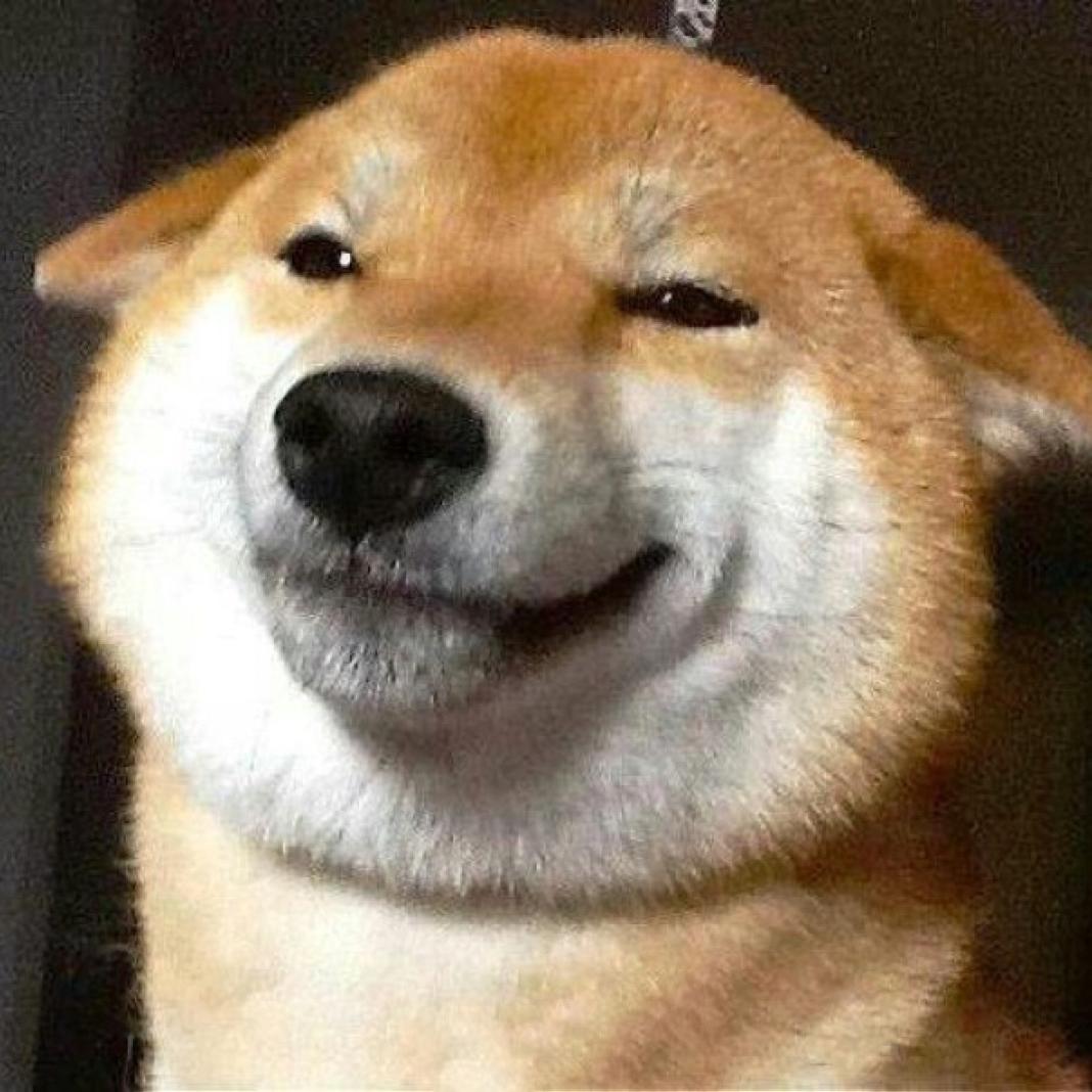 解说DJ哥