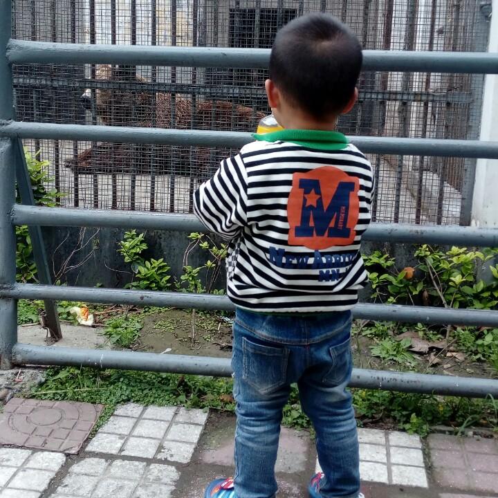 秦时明月