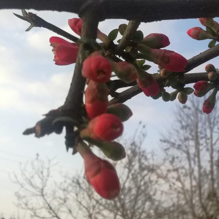 绵阳江山科技