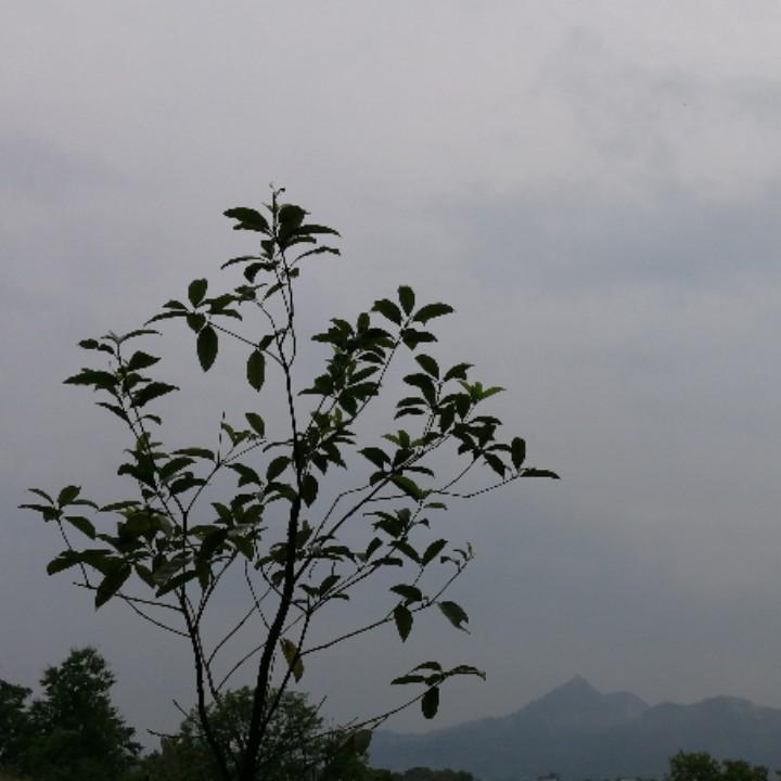 千杯不醉