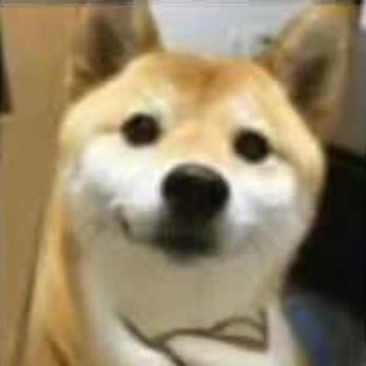 大守护者卡德加