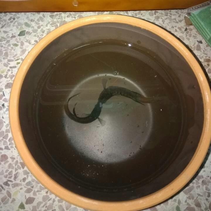 个我