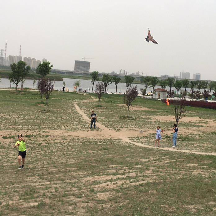 এꦿ᭄  牵着蜗牛去散步o - o