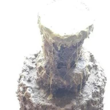 小陶哥