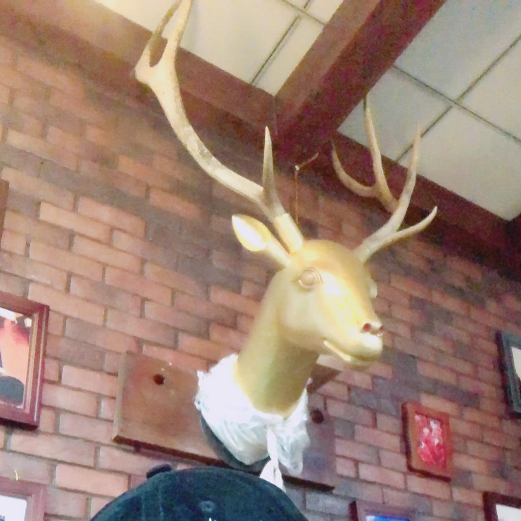 💍愉快的小番茄🍅