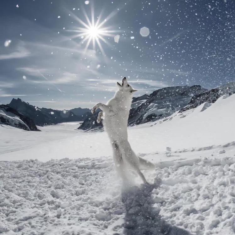 你笑起来真好看😘