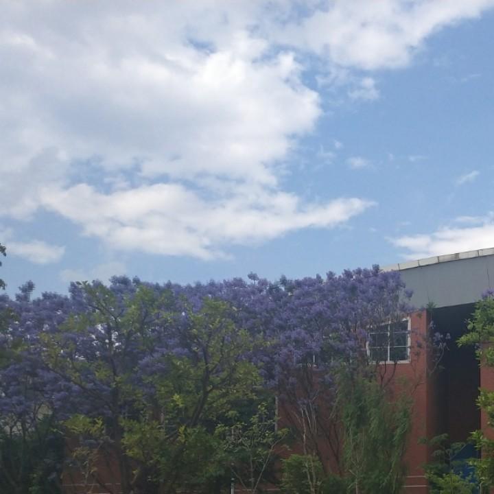 小懒贝