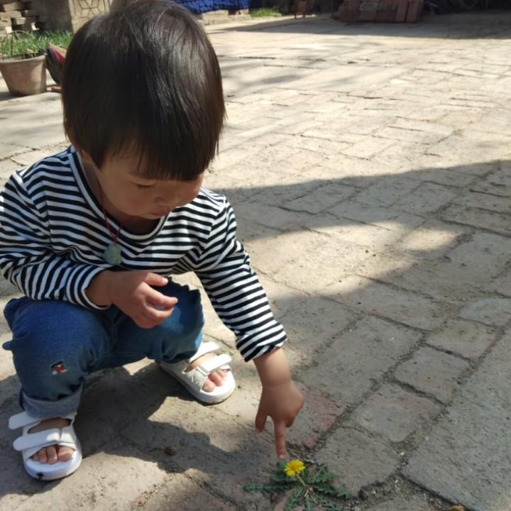 大喆子的生活日记