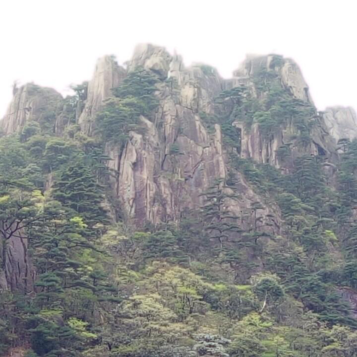 涛哥