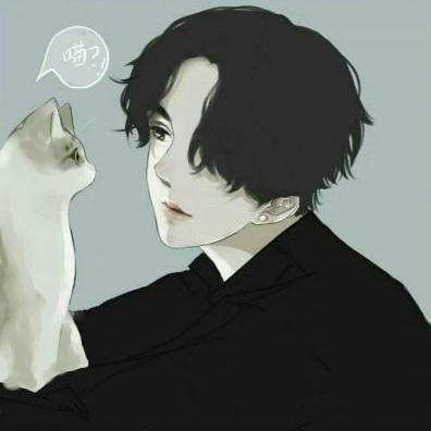 南巷的花猫©