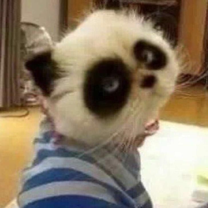 别说永远