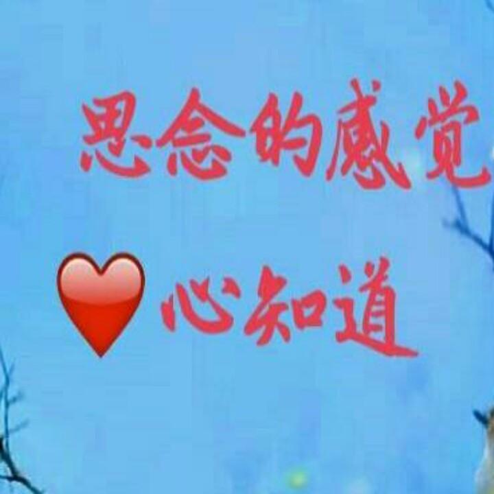 傲雪梅