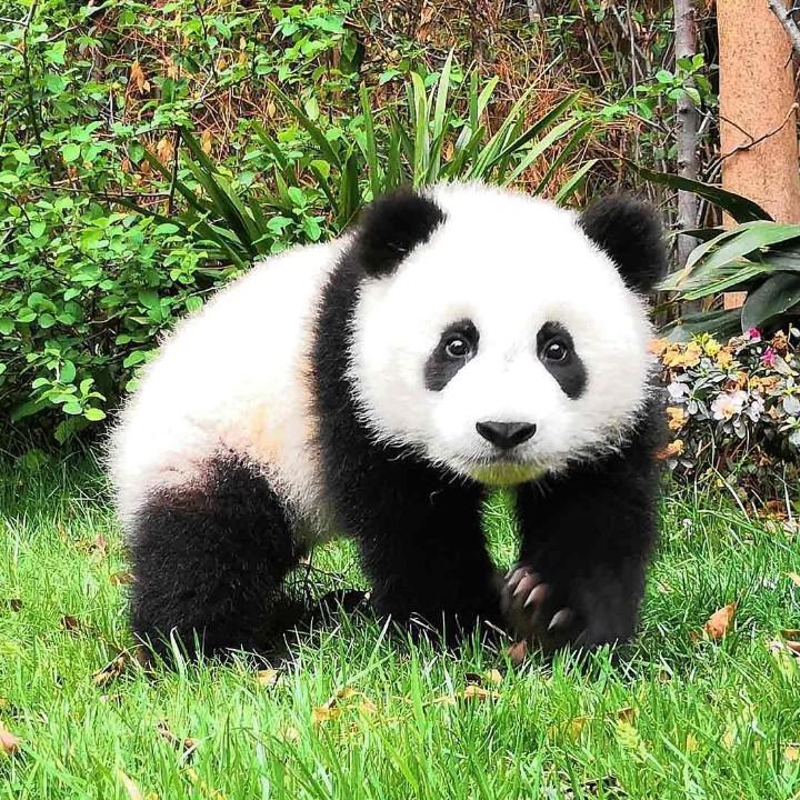 没有昵称