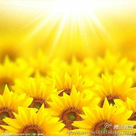 简单的幸福