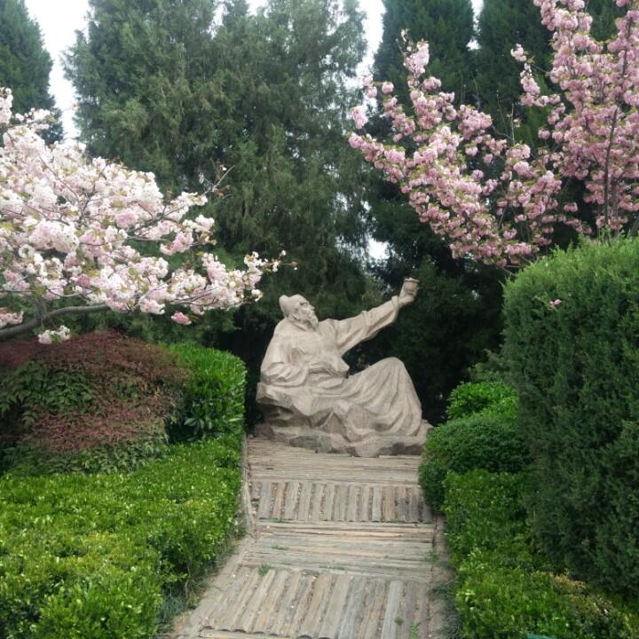 金银花🌸