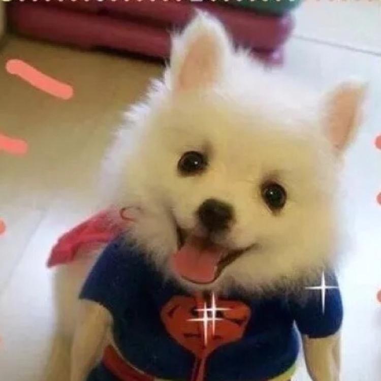 卖西瓜的