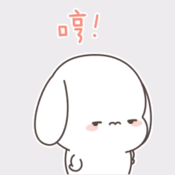 皮皮