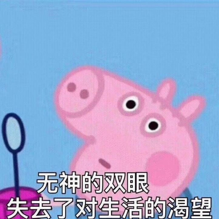 元宝666