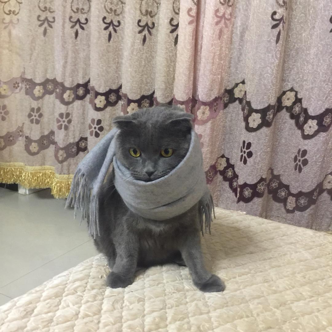 背手撒尿