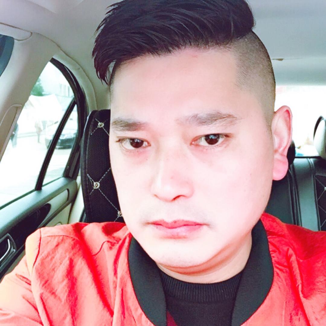 龙飞凤舞