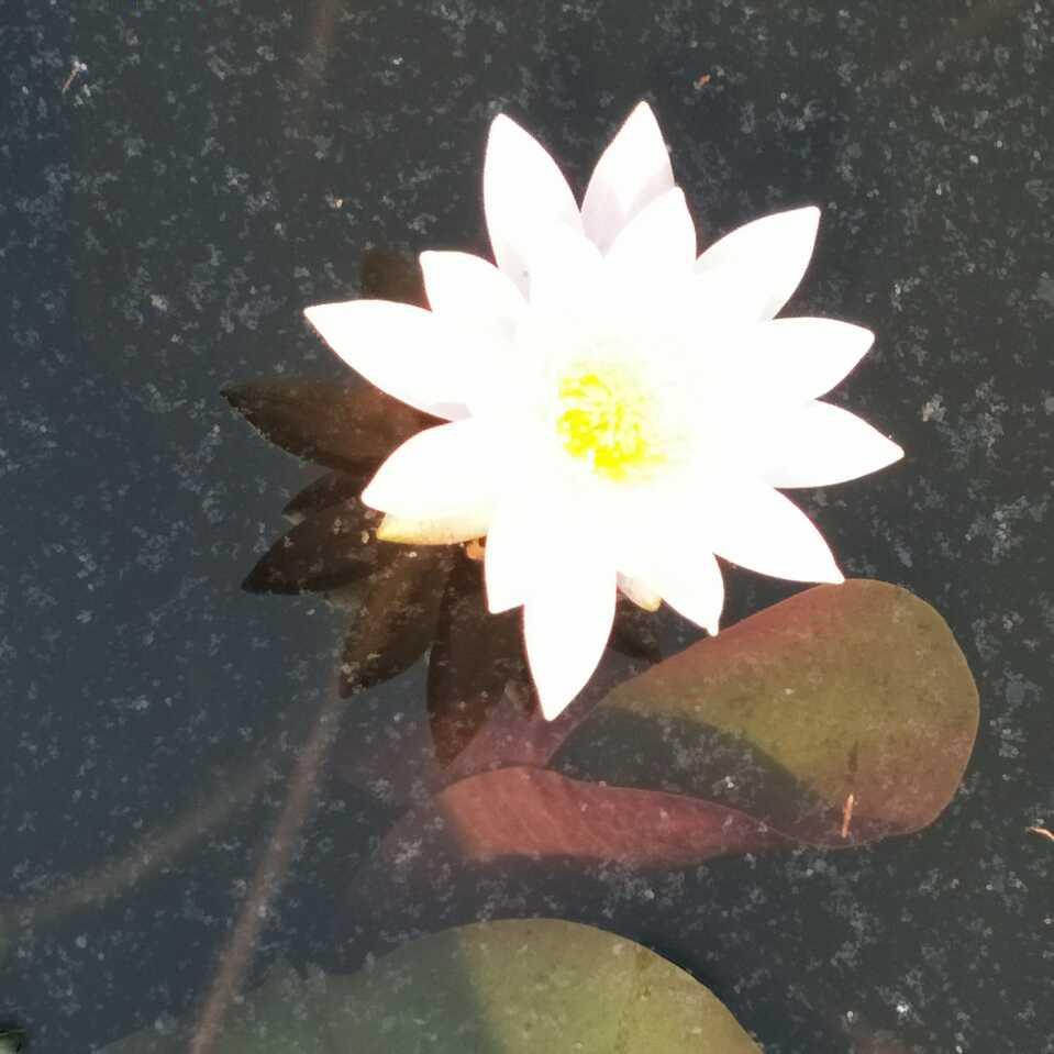 思雨灵儿342