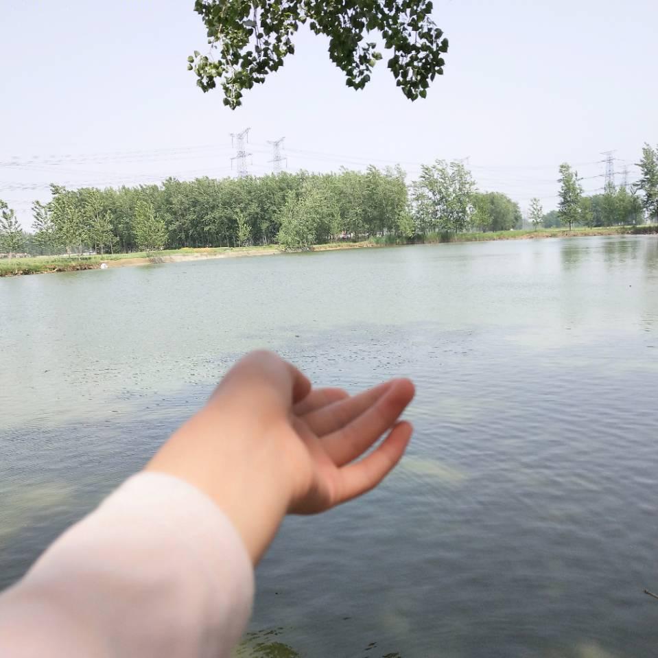 魏家老姑奶