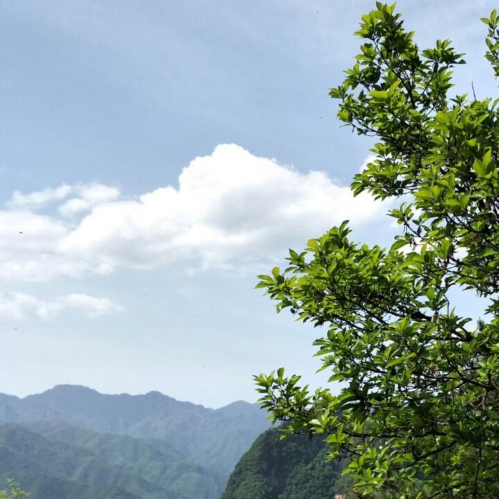 向来而已