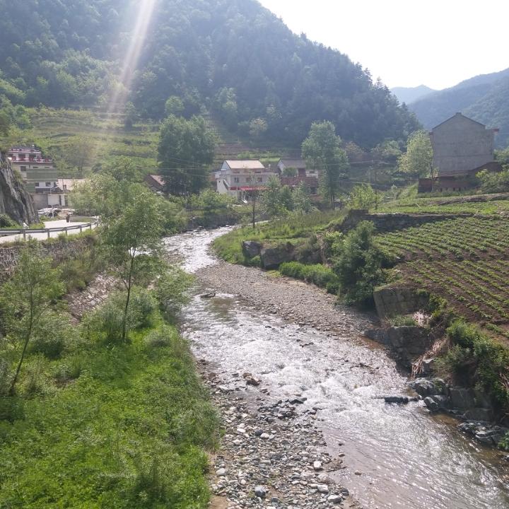 雲遊客