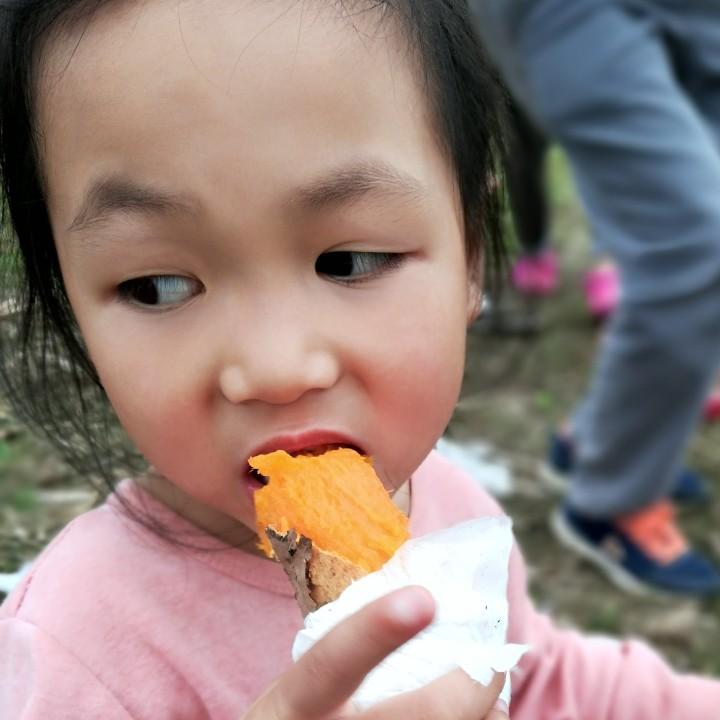 野生千纸禾☀️