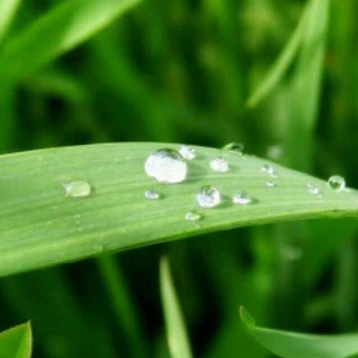朋友---路漫漫兮