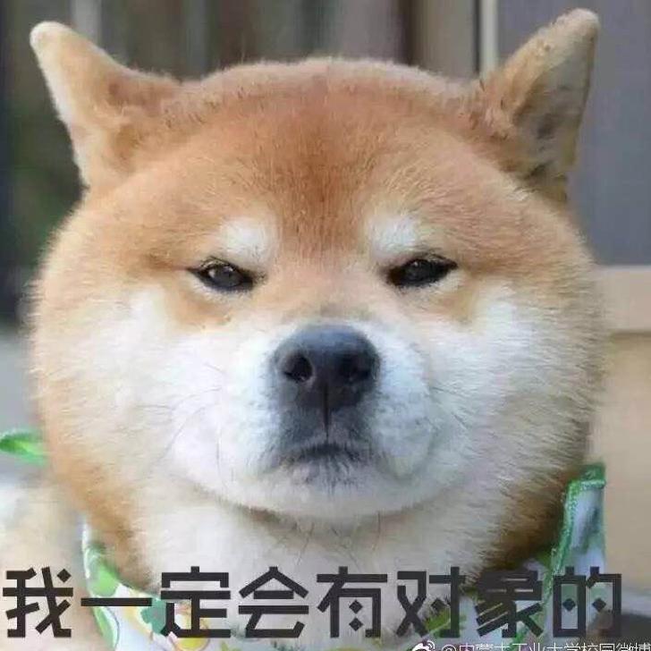 浩仔